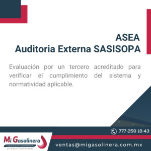 ASEA Auditoria Externa SASISOPA